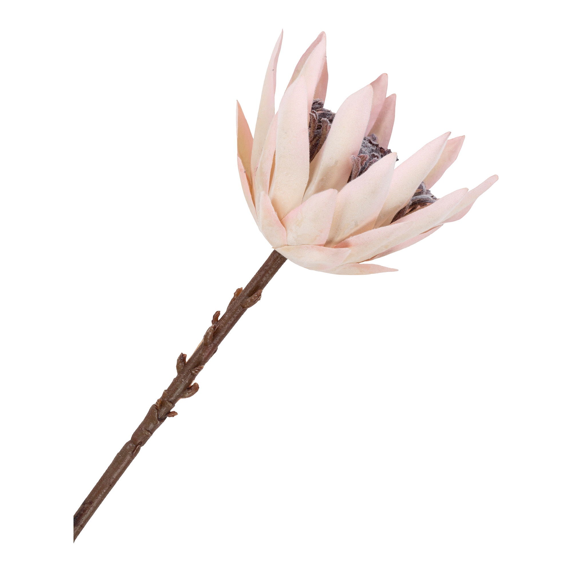 King Protea – Kunstblumenstrauß, Bordeaux-Mix, 65 cm